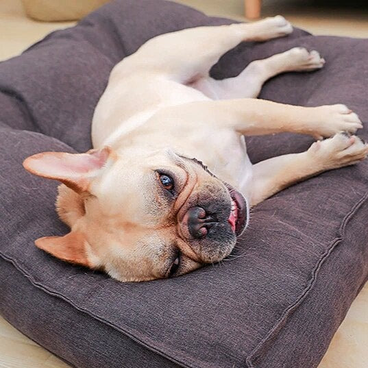 Ultra-Soft Puppy Bed β Warm