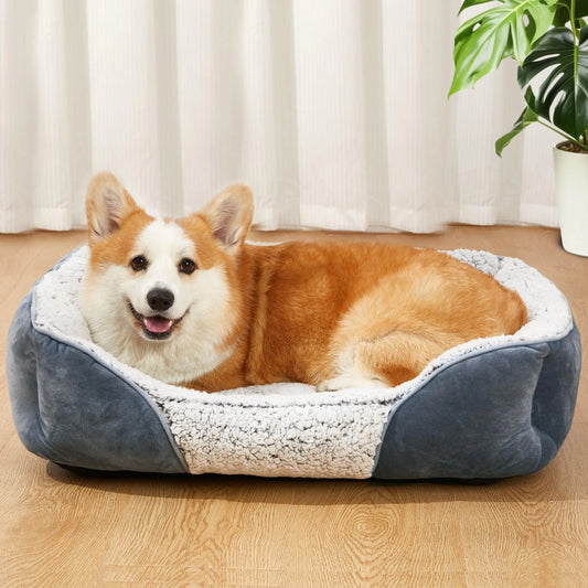 Kimpets CozyRest Orthopedic Dog Bed